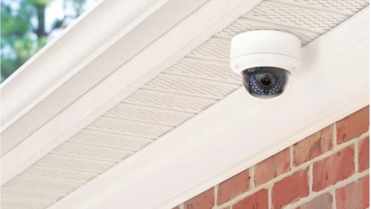 Two mint chocolate milkshakes with whipped cream and green sprinkles.
